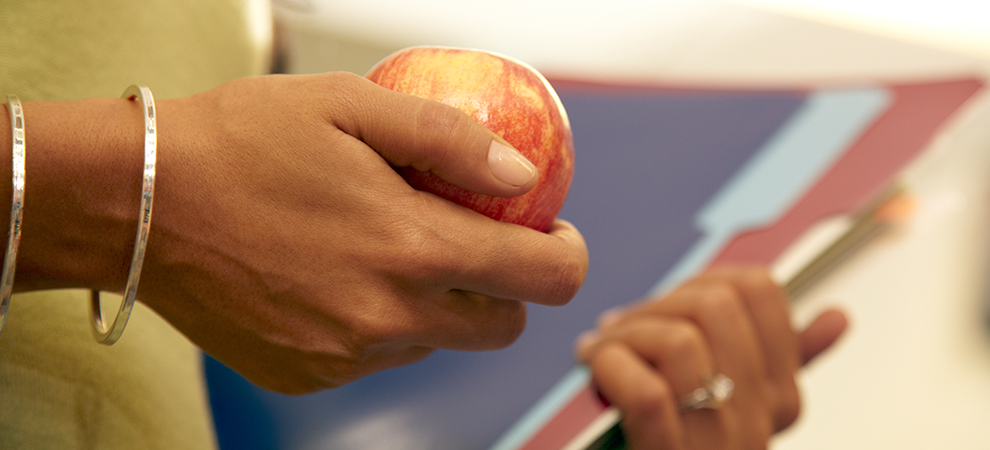 Nutrition-&-Dietician hand apple folders