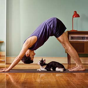A man does yoga as his cat looks on