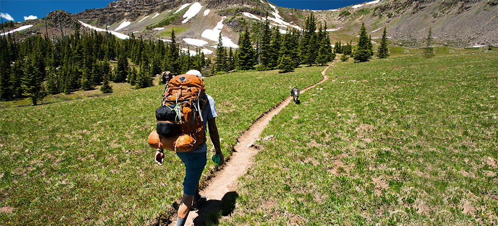 Backpacker and dog on trail leading toward snow-capped mountains.
